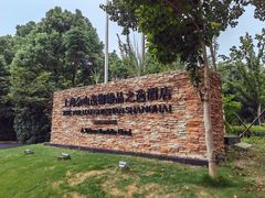 -上海佘山世茂艾美酒店