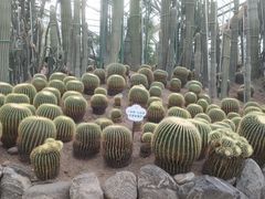 -南山植物园