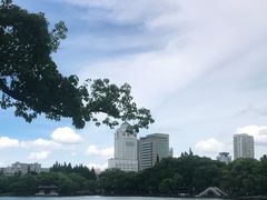 -月湖公园