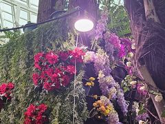 -正佳雨林生态植物园