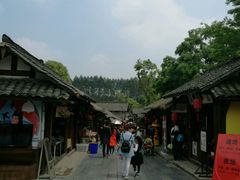 -秀丽东方