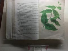 -广州神农草堂中医药博物馆