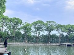 -新怡路亚垂钓园