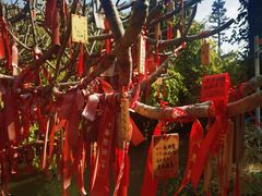 -小洲村