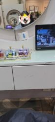 -时尚殿堂hair salon