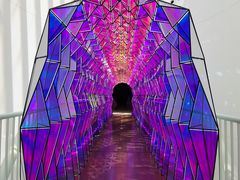 -旧金山现代艺术博物馆