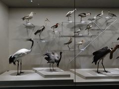 -中国湿地博物馆