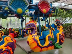 -南宫五洲植物乐园