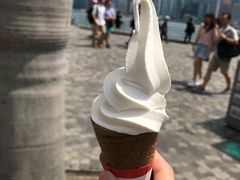 -富豪雪糕车流动点(尖沙咀店)