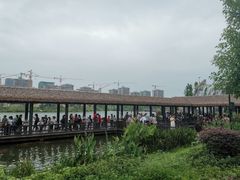 -枫香湖儿童公园