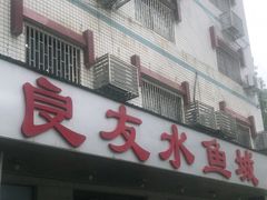 -良友水鱼城