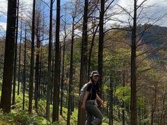 -四明山国家森林公园