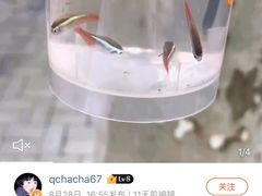 阮小二酱油虾-兴农记