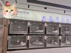 -翊宠yipet猫狗购宠庄园犬舍•猫舍