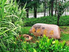 景点-上海长兴岛郊野公园