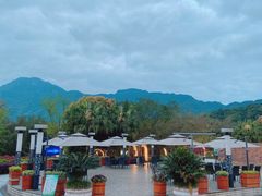 -雅安楠水阁温泉酒店