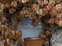 -自由生长植物工作室(深港花卉中心店)