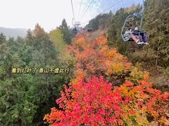 -香山公园