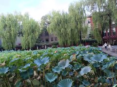 -四川大学(望江校区)