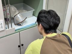 -半岛宠物医院24小时(西派城店)