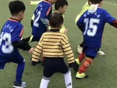 -小赛虎少儿足球培训(南翔校区)