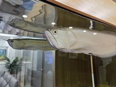 -上海吉涛生物科技有限公司