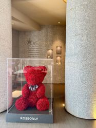 -VELEE·SPA高定疗愈会所