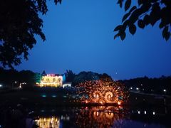 -大塘金香草谷