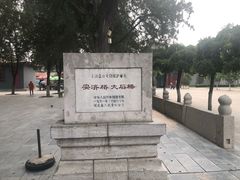 -赵州桥景区