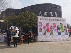 -秀丽东方