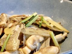 蛏子-菲乐餐厅(三十年经营·湖滨路店)