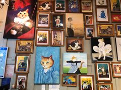 -猫咪博物馆(顶澳仔猫街店)