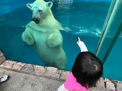 -泉城欧乐堡海洋极地世界