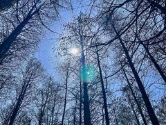 -东湖落雁景区
