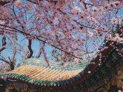 -深圳龙潭公园