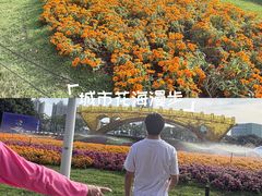 -海心沙亚运公园