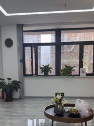 -牛大夫植发