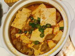 豆腐烧肥肠-探香儿融合餐厅(金碧源店)