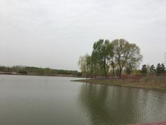 -东郊湿地公园