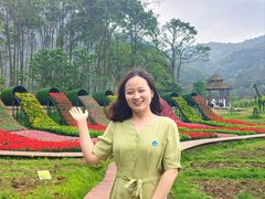 -广州市石门国家森林公园