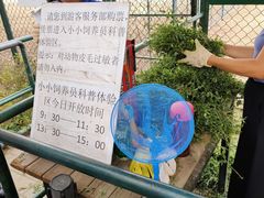 -北京麋鹿生态实验中心