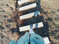 -莫子山公园
