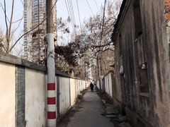 -老太皮肚面