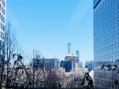 -北京丽晶酒店