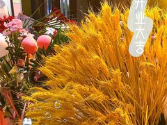 -九牛捞火锅(文化路店)