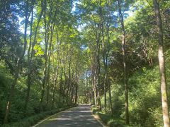 -宜兴龙背山森林公园