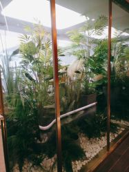 -爱瑞馨母婴护理中心(爱悠悠店)