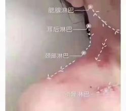 -MIDA蜜哒•科技逆龄美肤连锁