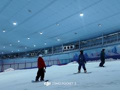 -哈尔滨热雪奇迹