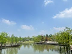 -苏州上方山国家森林公园